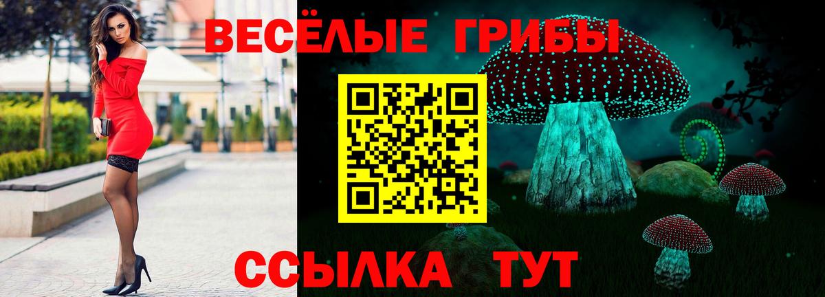 Галлюциногенные грибы Psilocybe  Вход с VPN  Кстово 